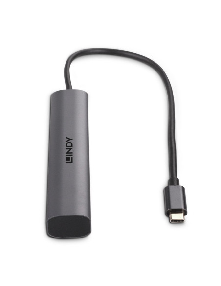 Lindy 43384 hub di interfaccia USB tipo-C 10000 Mbit/s Grigio