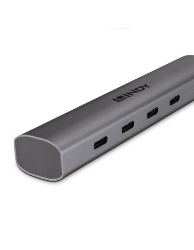Lindy 43384 hub di interfaccia USB tipo-C 10000 Mbit/s Grigio