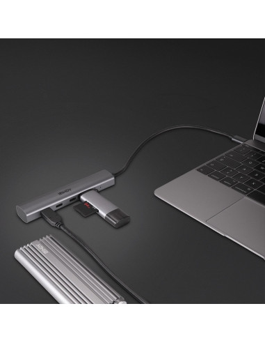 Lindy 43384 hub di interfaccia USB tipo-C 10000 Mbit/s Grigio