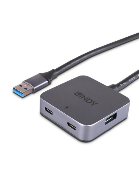 Lindy 43388 hub di interfaccia USB 3.2 Gen 1 (3.1 Gen 1) Type-A 5000 Mbit/s Nero, Grigio