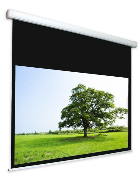TELO PROVIS 190X119 PROVIS MOTORIZZ 16:10