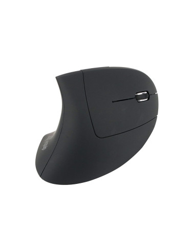 Equip 245110 mouse Mano destra RF Wireless Ottico 1600 DPI