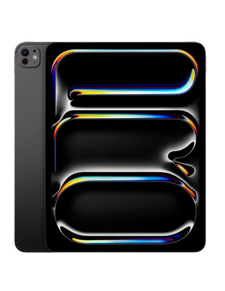 IPAD PRO 13 WF CL 2TB SP BLK NT