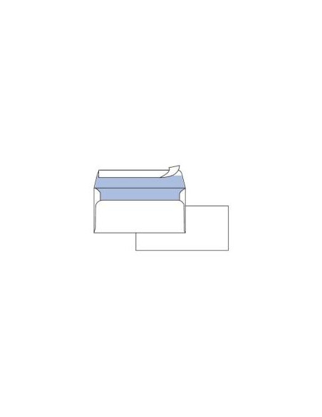 CF25 BUSTE EDERA S/FIN 11X23CM