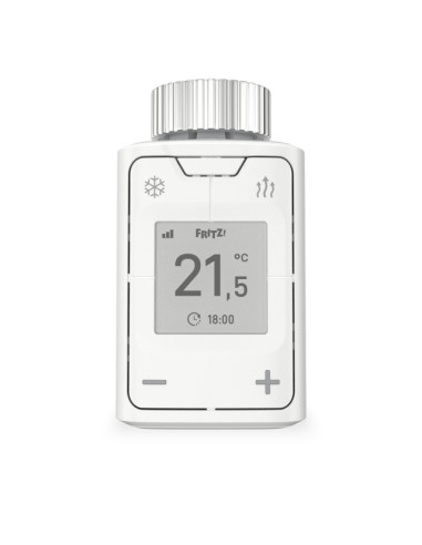 DECT 302 International