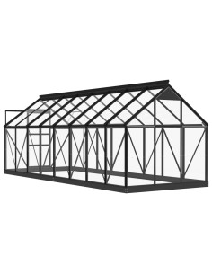 Serra in Vetro Antracite 155x395,5x191 cm Telaio in Alluminio