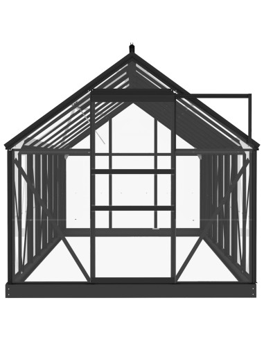 Serra in Vetro Antracite 155x395,5x191 cm Telaio in Alluminio