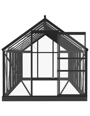 Serra in Vetro Antracite 155x395,5x191 cm Telaio in Alluminio