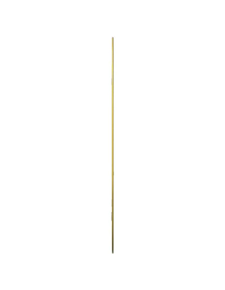 Specchio da Parete Dorato 80x50 cm