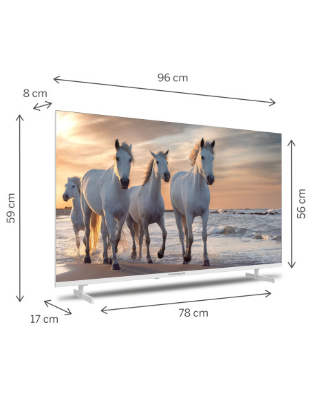 TV 43 THOMSON 4K FRAMELESS SMART T2/C2S2 ANDROID 11 UHD WHITE