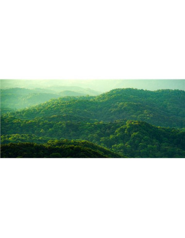 DELL 27 PLUS 4K MONITOR - S2725QS