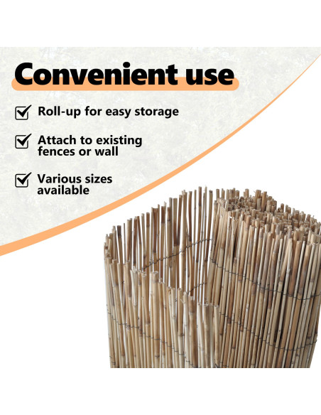 Recinto di Giunco Naturale 600 x 140 cm Giunco