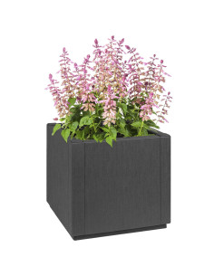 Scatola per Fiori Grigio scuro 36 x 36 x 35 cm Plastica