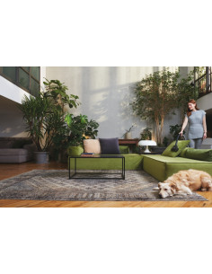 Hoover HE120PET 011 2,5 L A cilindro Secco 700 W Sacchetto per la polvere 2