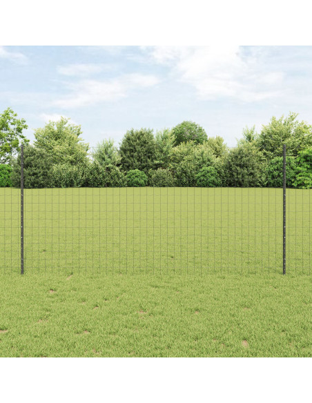 Recinzione con Posto Grigio 1,2 x 25 m Acciaio
