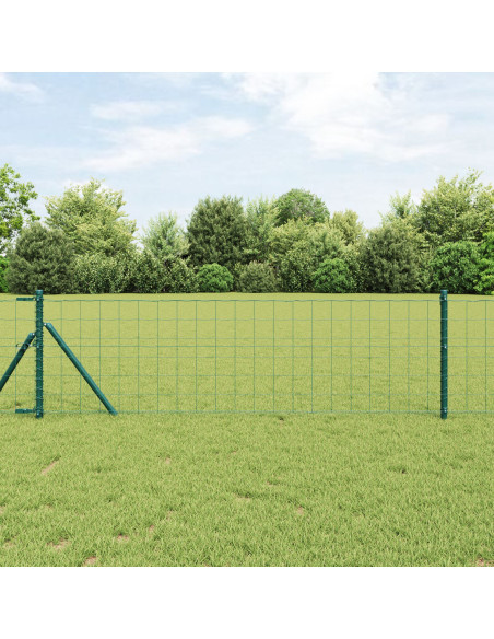 Recinzione Euro Set di 2 Verde Acciaio 25 x 0.8 m Durevole