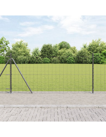 Recinzione con Posto Grigio 0,8 x 25 m Acciaio