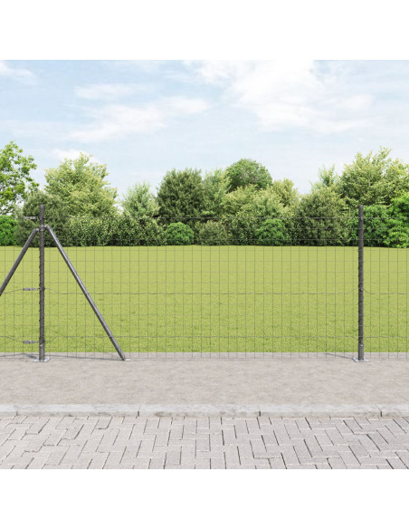 Recinzione con Posto Grigio 0,8 x 25 m Acciaio