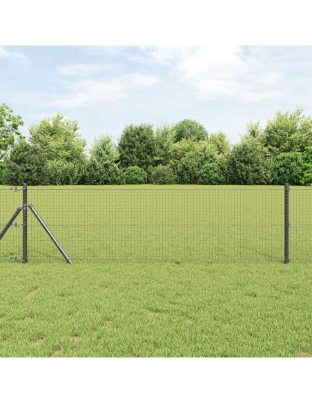 Recinzione in Rete Saldato Grigio 0.6 x 10 m