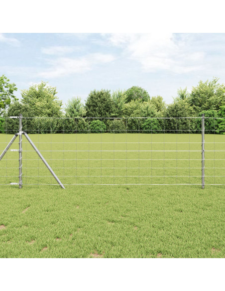 Recinzione da campo  0.8x10 m Acciaio zincato