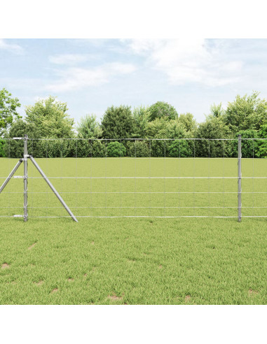 Recinzione da campo Argento 25 x 0,8 m Acciaio zincato