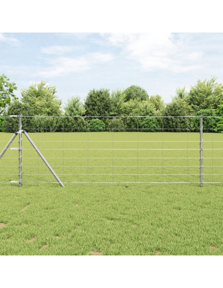 Recinzione da campo Argento 25 x 0,8 m Acciaio zincato