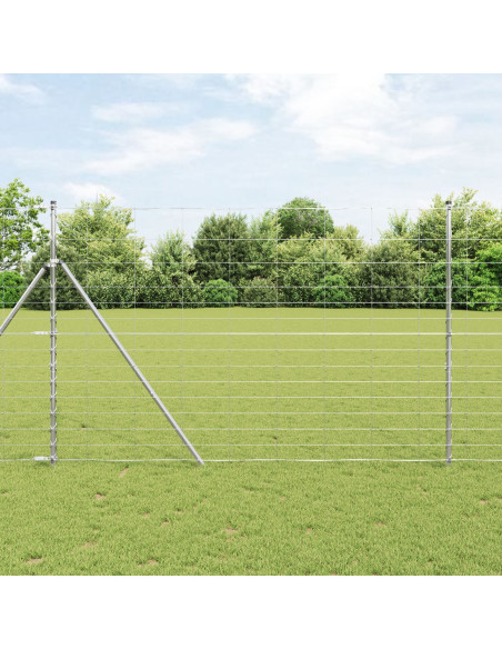 Recinzione da campo Argento 50 x 1,6 m Acciaio zincato