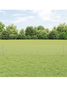 Recinzione con Posto Argento 0,4 x 25 m Acciaio