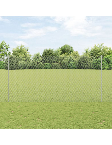 Recinzione con Posto Argento 1,6 x 10 m Acciaio