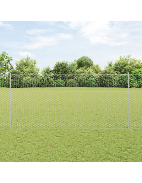 Recinzione con Posto Argento 1,4 x 50 m Acciaio