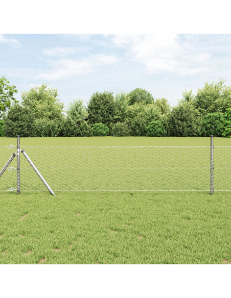 Palo della recinzione Argento 25 x 0,6 m (maglia 36 mm) Acciaio