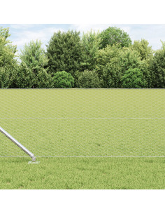 Palo della recinzione Argento 50 x 0,6 m (maglia da 25 mm)