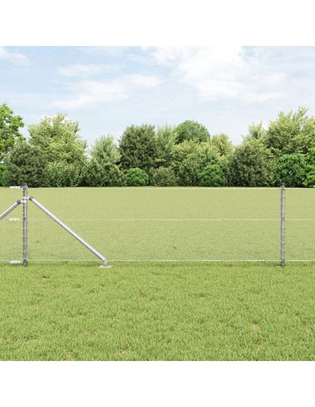 Recinzione Esagonale  0.6x100 m Acciaio Zincato, Pali per Recinzione  con Punta 13 pezzi Ø32 mm 80 cm Acciaio Zincato