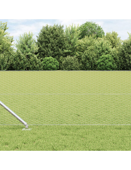 Recinzione Esagonale  0.6x100 m Acciaio Zincato, Posti per Recinzione  con Punta 13 pcs Ø32 mm 80 cm Acciaio Zincato