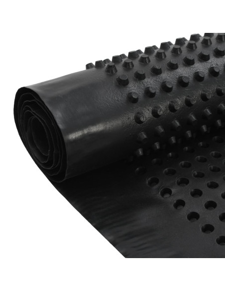 Foglio di Drenaggio 2 pz in HDPE 400 g/m² 1x20 m