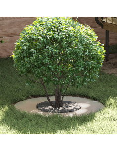 adatto per Anello d'Albero Piatto Argento Ø30 / 60 cm