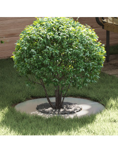 adatto per Anelli d'Albero Piatto 5 pcs Argento Ø30 / 60 cm