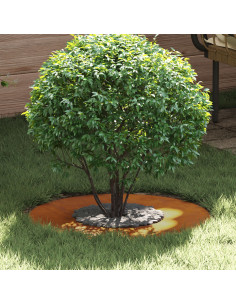 adatto per Anelli d'Albero Piatto 5 pcs Marrone Ø30 / 60 cm