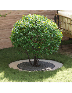 adatto per Anello d'Albero Piatto Argento Ø60 / 90 cm