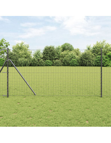 Recinzione con Posto Grigio 1,2 x 25 m Acciaio