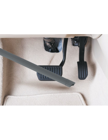 Hoover H-FREE 100 HF122CAR 011 – Blu/Titanio