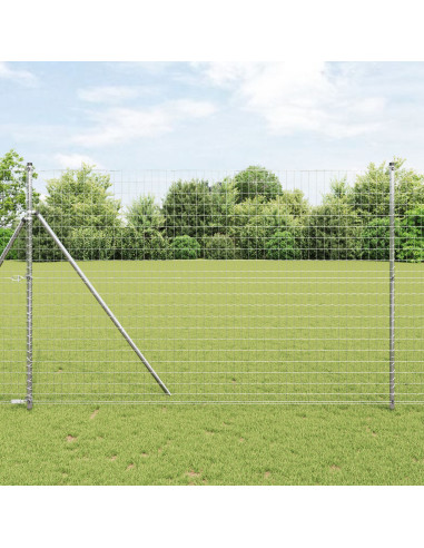 Recinzione con Posto Argento 1,6 x 10 m Acciaio e PVC