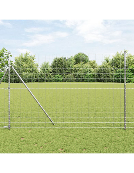 Recinzione con Posto Argento 1,5 x 10 m Acciaio e PVC