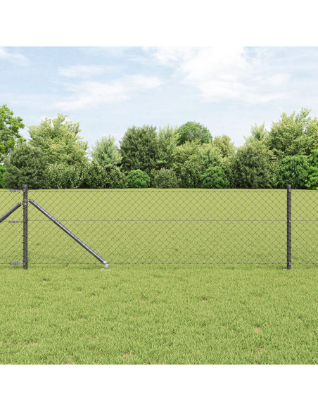 Recinzione a Maglie  con 7 Pali a Punta 0,8x10 m in Acciaio Galvanizzato