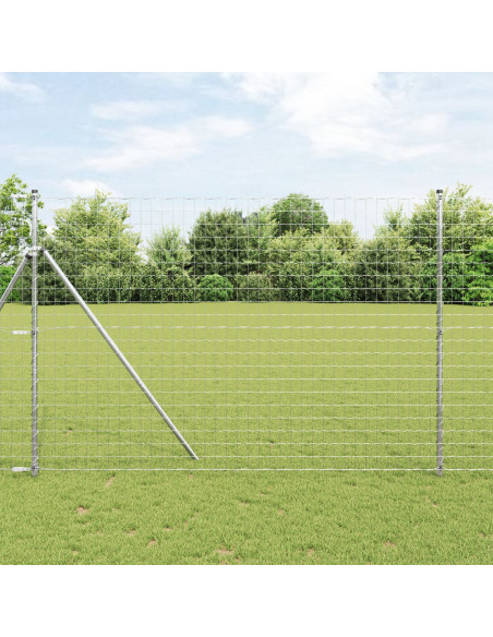 Recinzione Euro  con 7 Post 1.5x10 m Acciaio Zincato