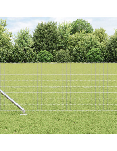 Recinzione con Posto Argento 0,6 x 10 m Acciaio