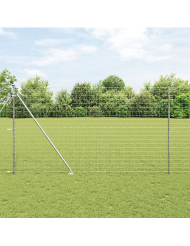 Recinzione con Posto Argento 1,5 x 10 m Acciaio