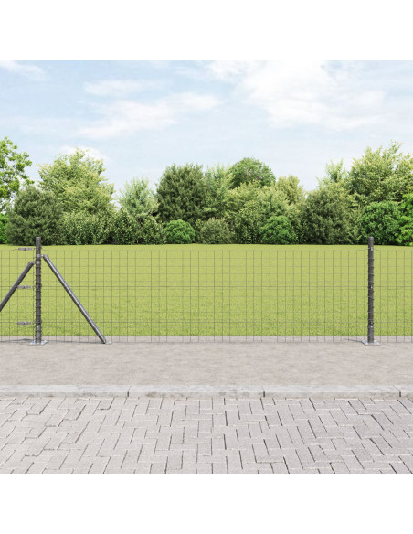 Recinzione con Posto Grigio 0,6 x 10 m Acciaio e PVC