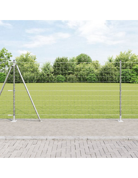 Recinzione con Posto Argento 1,2 x 10 m Acciaio