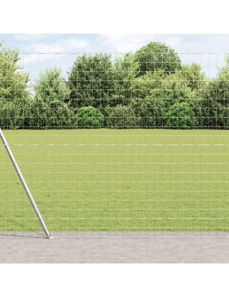 Recinzione con Posto Argento 1,6 x 10 m Acciaio